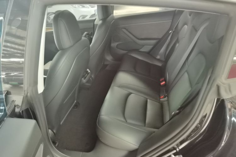 Tesla Model 3 2021 #17 Tesla Model 3 2021 car image #17