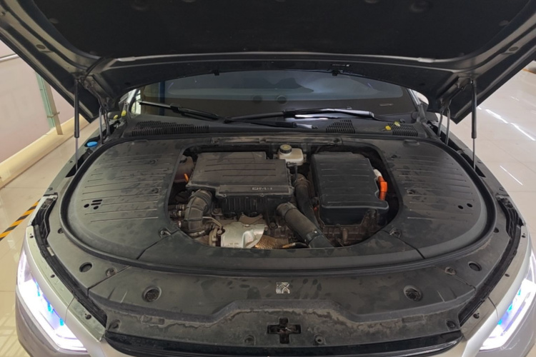 BYD Han 2023 car image #20