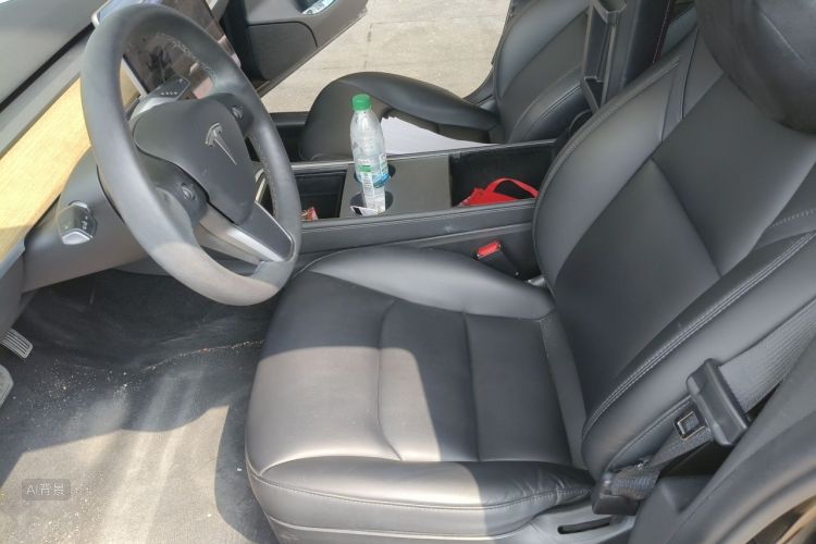 Tesla Model 3 2021 car image #17