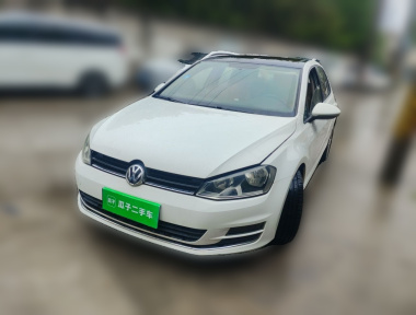 Volkswagen Golf 2015 Volkswagen Golf 2015 car image
