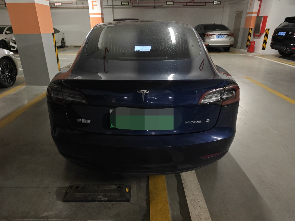 Tesla Model 3 2020 #5 Tesla Model 3 2020 car image #5