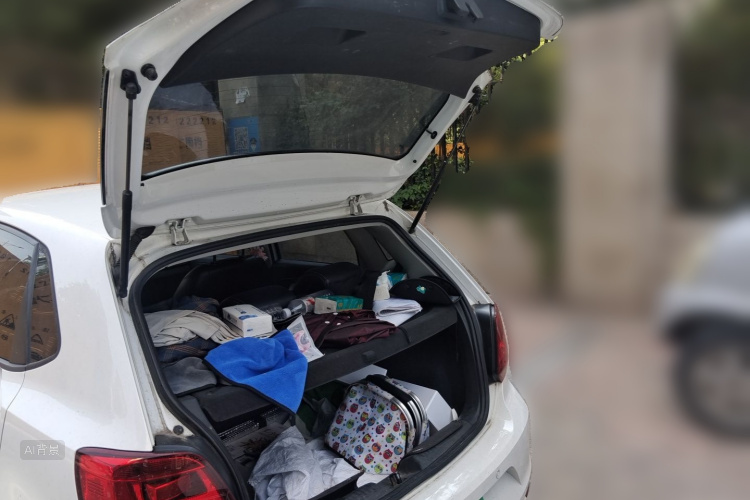Volkswagen Polo 2017 #21 Volkswagen Polo 2017 car image #21