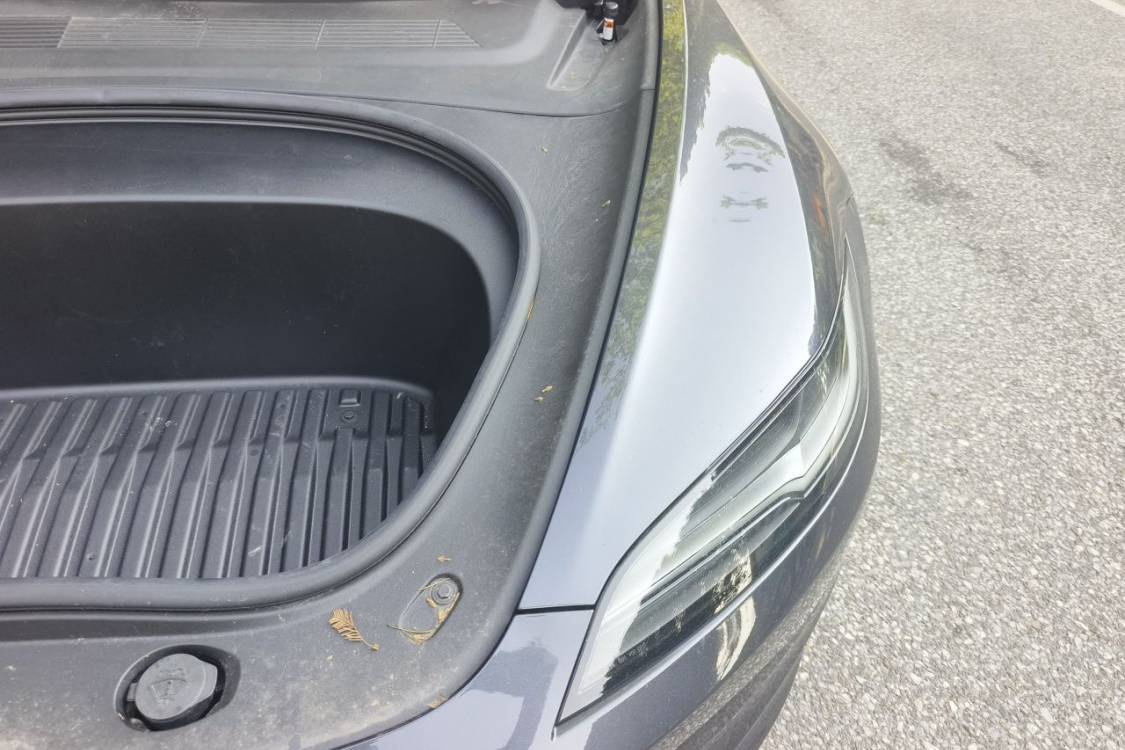 Tesla Model 3 2025 car image #12
