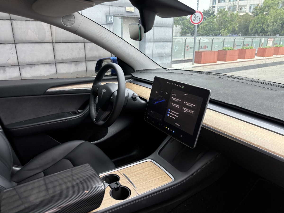 Tesla Model Y 2021 car image #4
