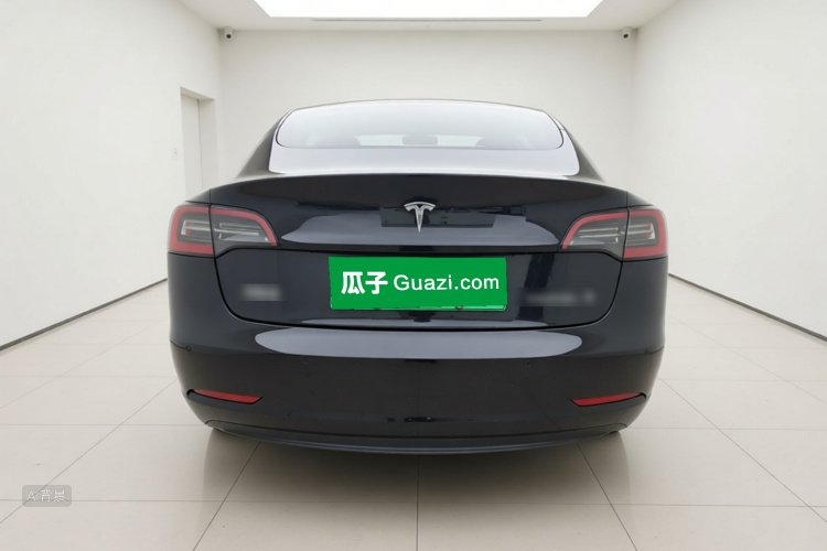 Tesla Model 3 2022 car image #6