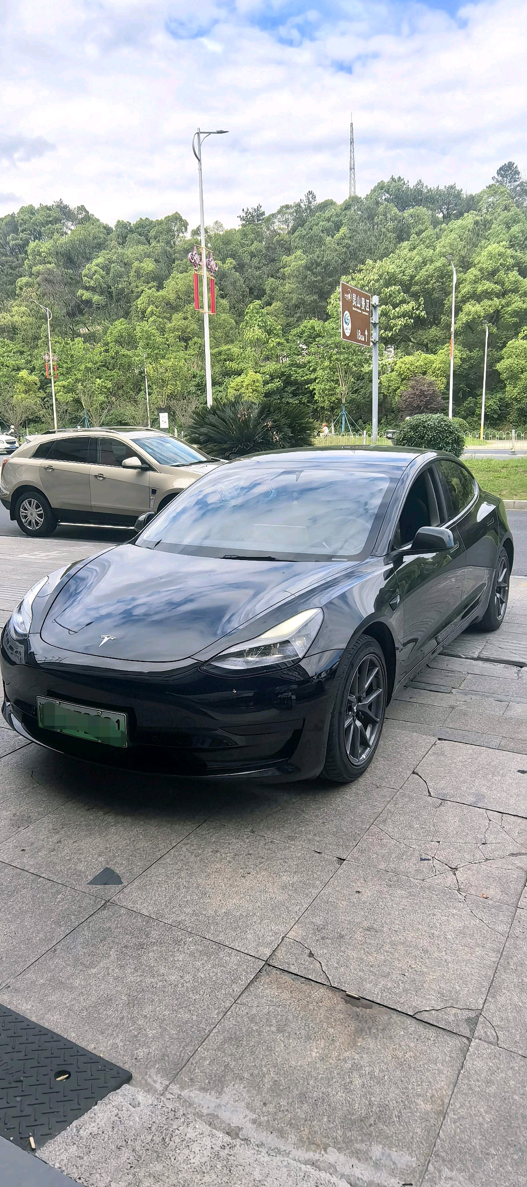 Tesla Model 3 2021 Tesla Model 3 2021 car image