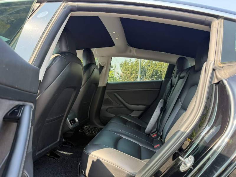 Tesla Model 3 2020 #4 Tesla Model 3 2020 car image #4