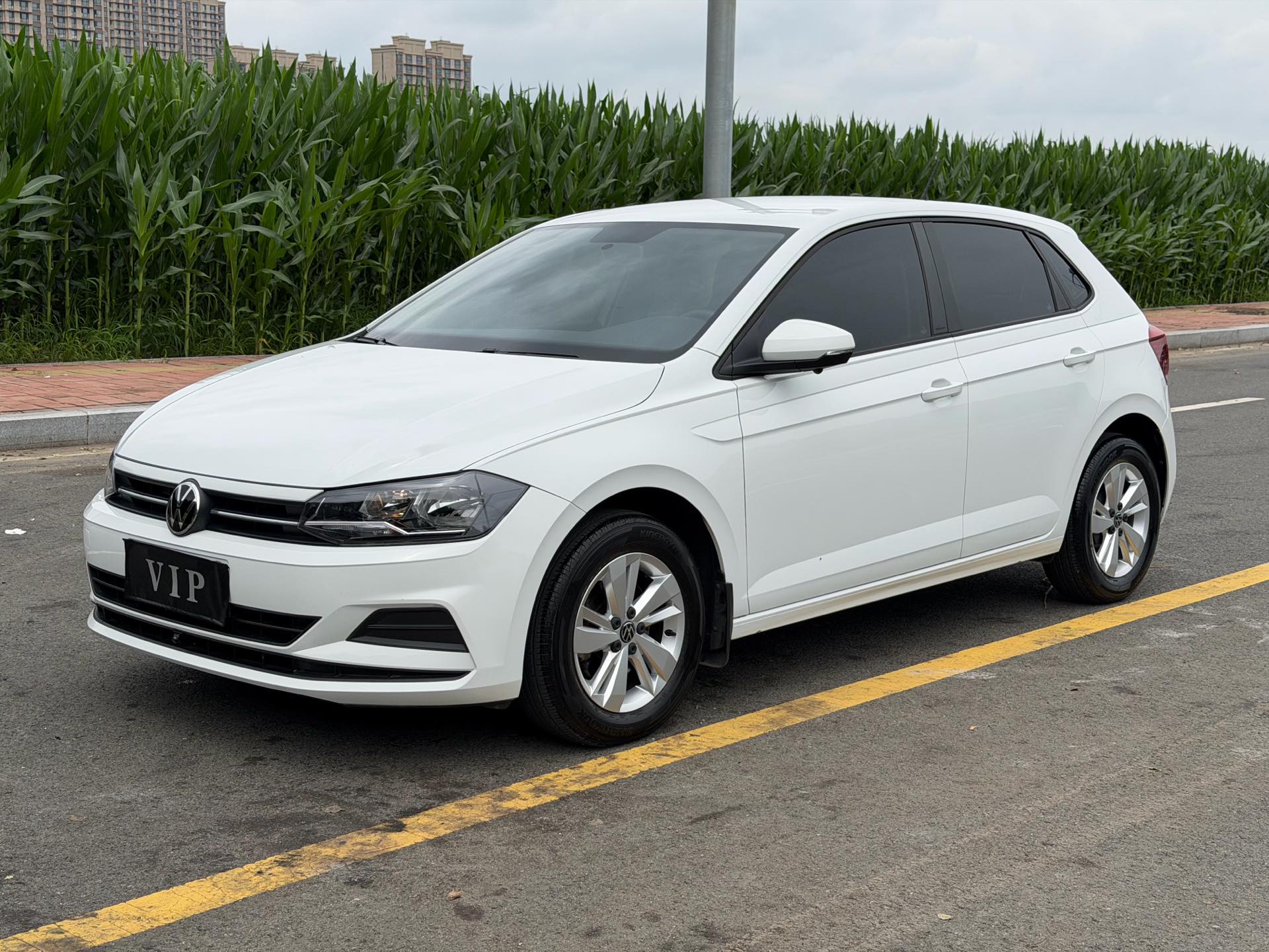 Volkswagen Polo 2023 Volkswagen Polo 2023 car image