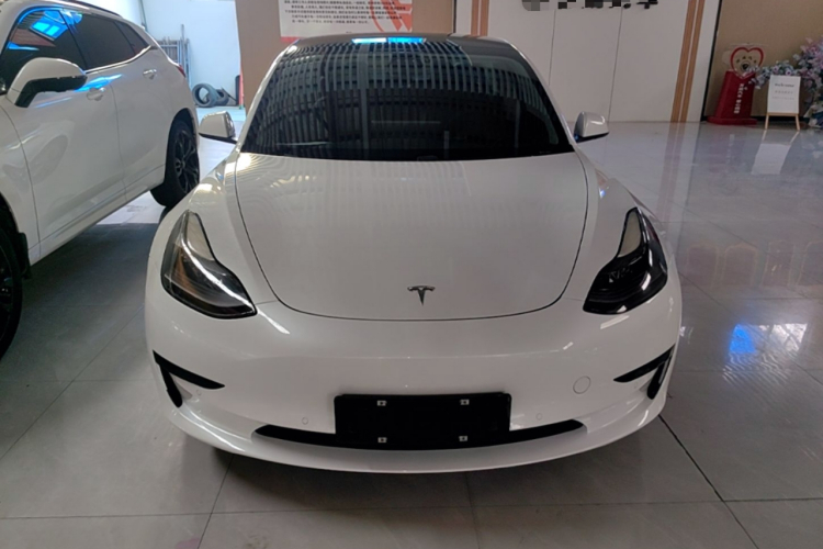 Tesla Model 3 2021 car image #3