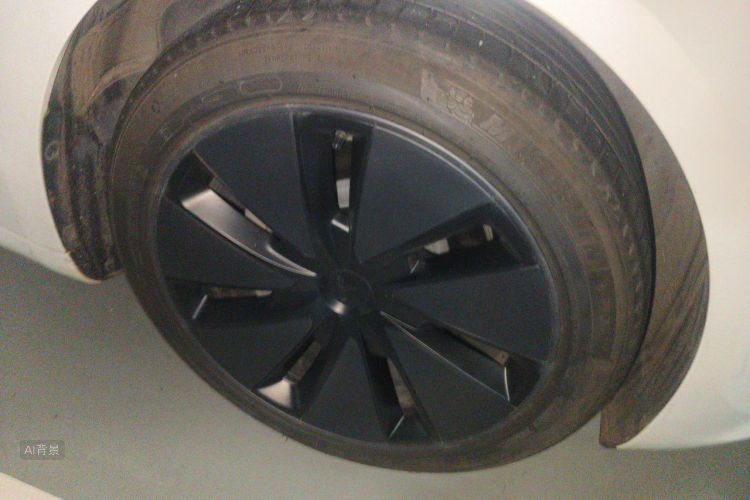 Tesla Model 3 2023 car image #9