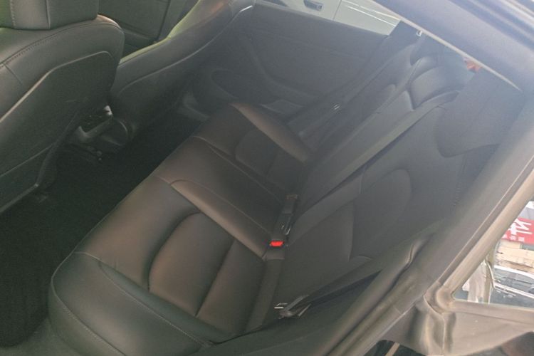 Tesla Model 3 2021 #17 Tesla Model 3 2021 car image #17