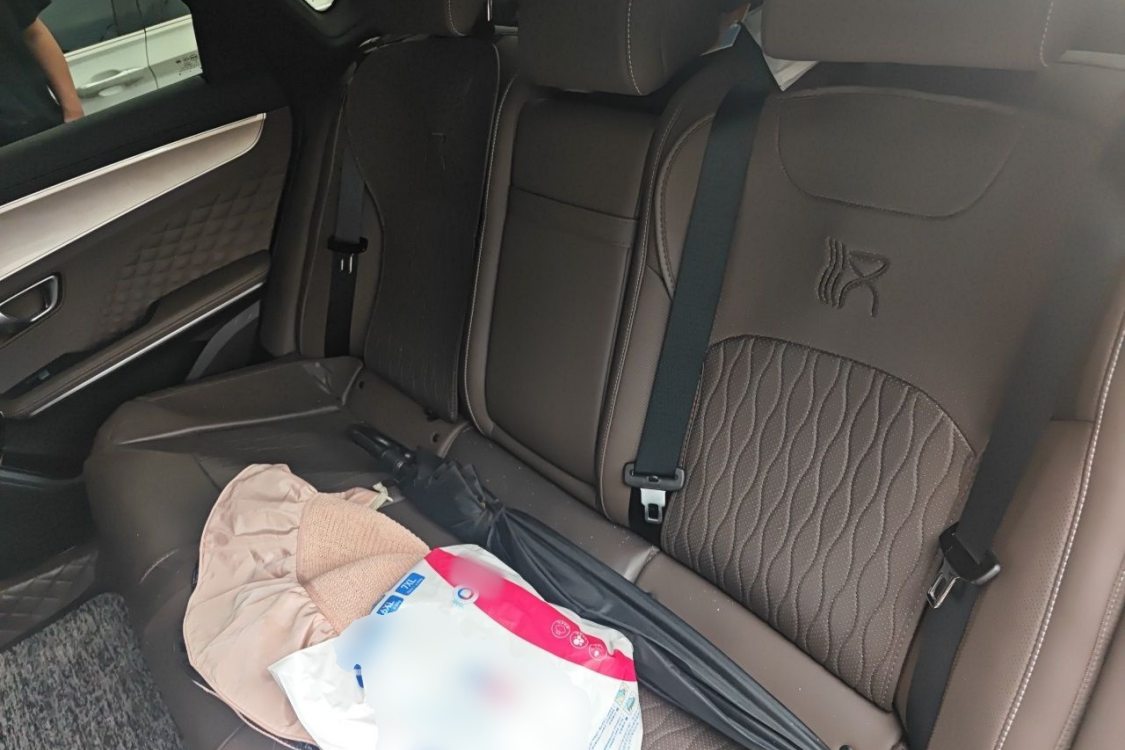 BYD Han 2024 imagem de carro #19