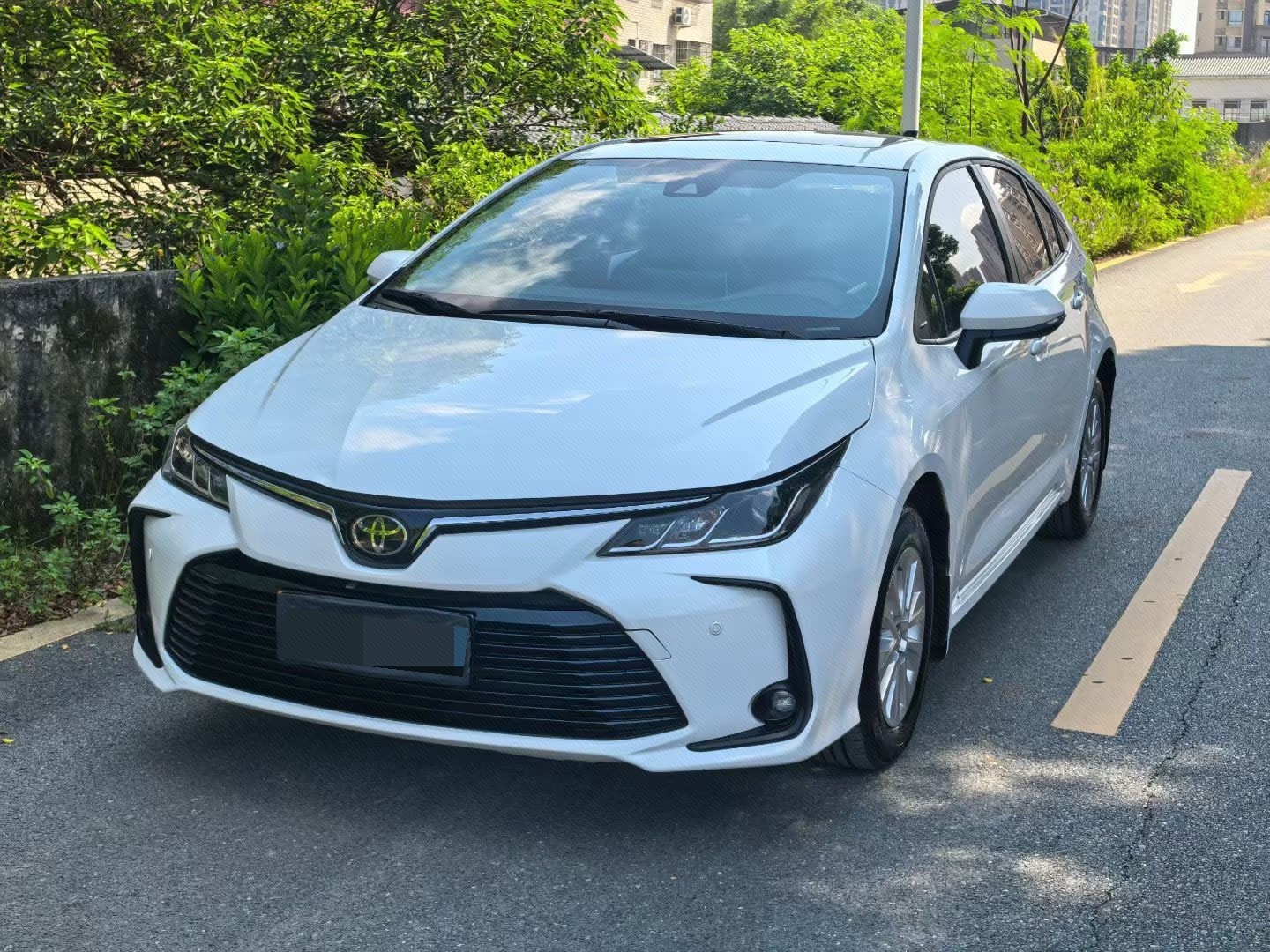 Toyota Corolla 2020 Toyota Corolla 2020 car image