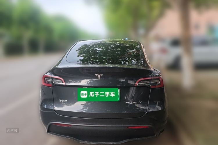 Tesla Model Y 2024 car image #6