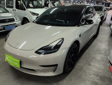 Tesla Model 3 2023 immagine di auto 