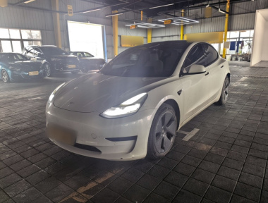 Tesla Model 3 2022 Tesla Model 3 2022 car image