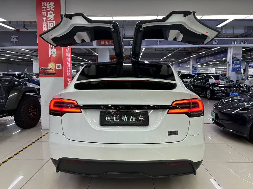 Tesla Model X 2023 car image #5