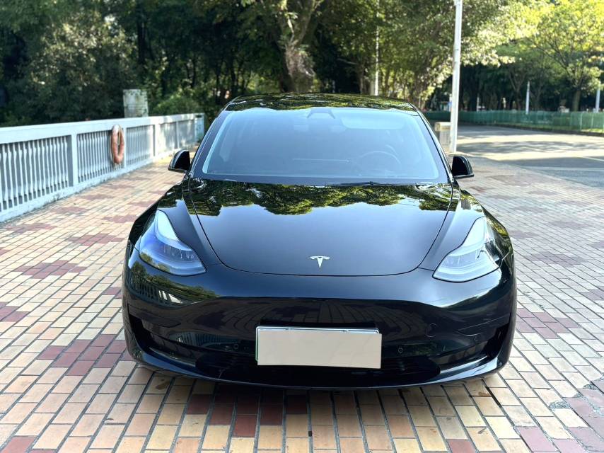 Tesla Model 3 2021 #2 Tesla Model 3 2021 изображение автомобиля #2