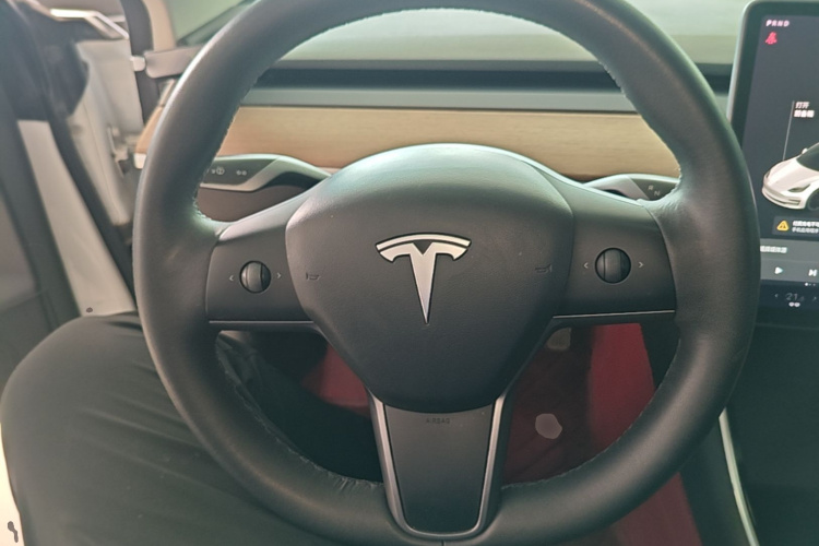 Tesla Model 3 2020 immagine di auto #15