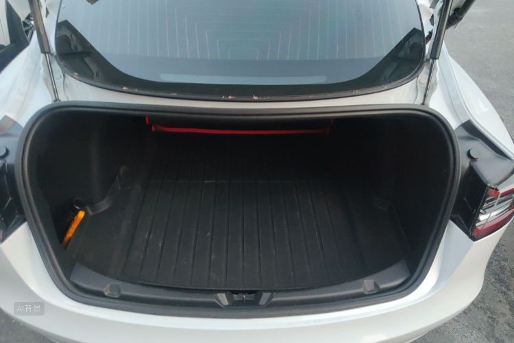 Tesla Model 3 2020 #21 Tesla Model 3 2020 car image #21
