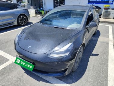 Tesla Model 3 2021 Tesla Model 3 2021 car image