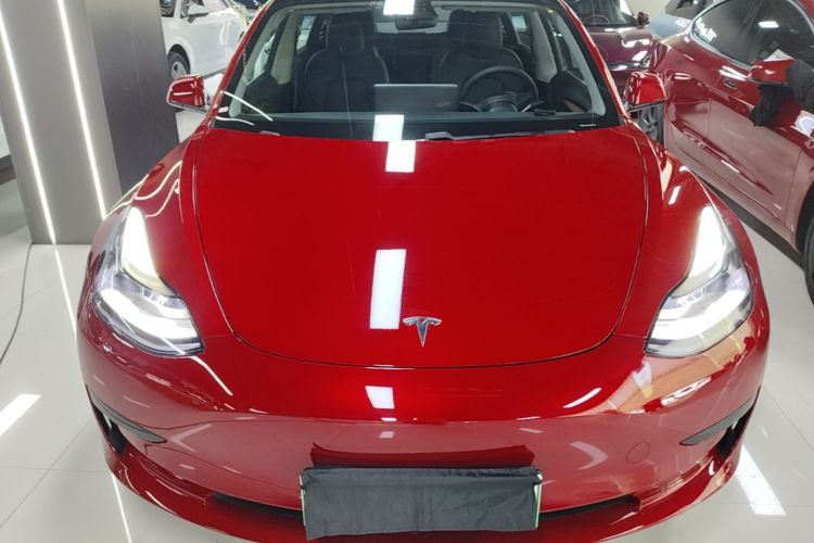 Tesla Model 3 2021 #3 Tesla Model 3 2021 car image #3