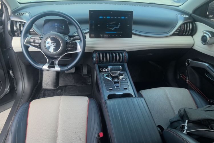 BYD Yuan Plus 2022 car image #10