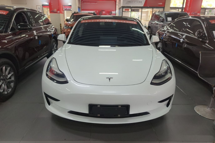 Tesla Model 3 2020 #3 Tesla Model 3 2020 car image #3