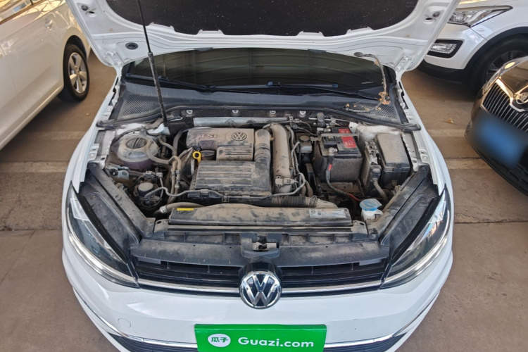 Volkswagen Golf 2019 #22 Volkswagen Golf 2019 car image #22