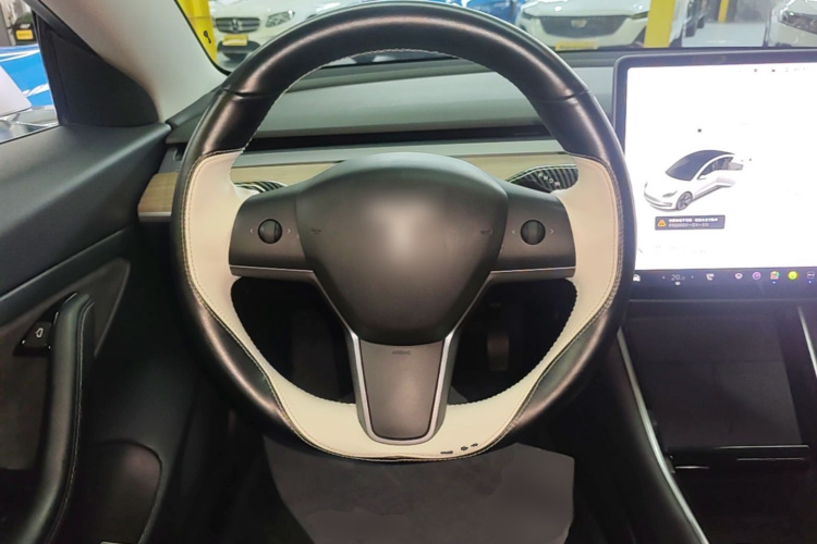 Tesla Model 3 2020 car image #15