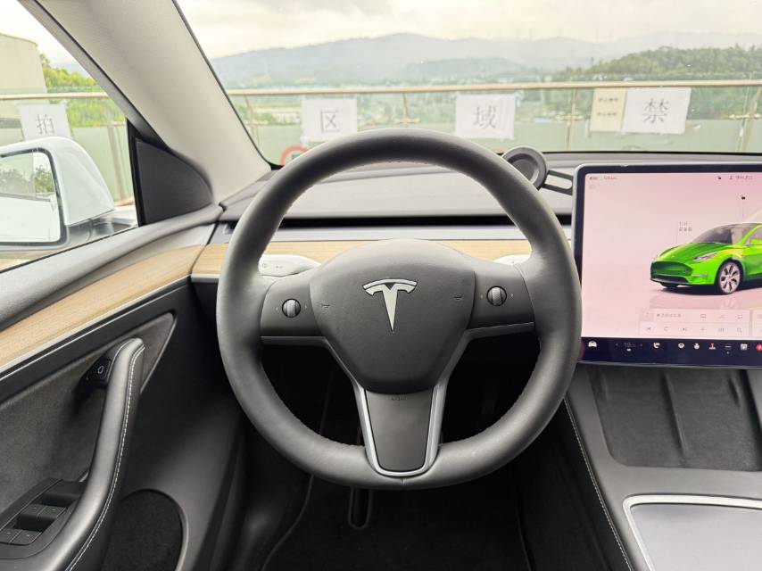 Tesla Model Y 2021 car image #8
