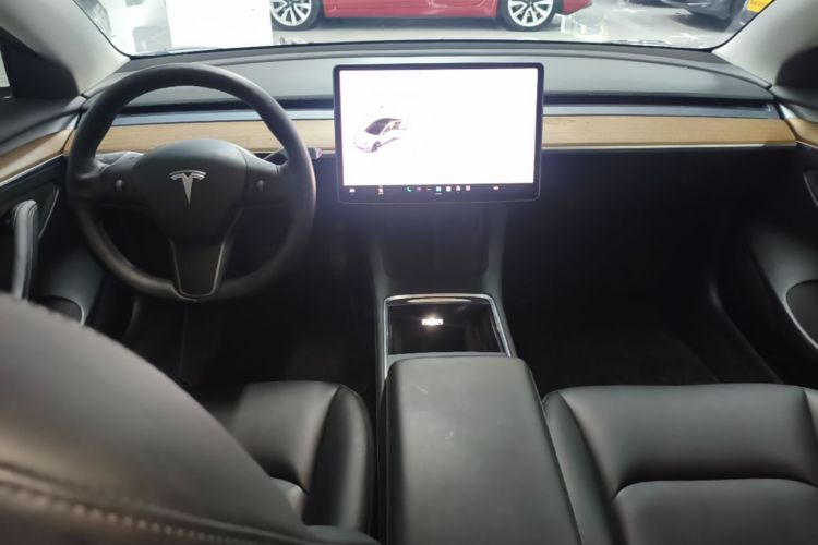 Tesla Model 3 2021 #10 Tesla Model 3 2021 car image #10