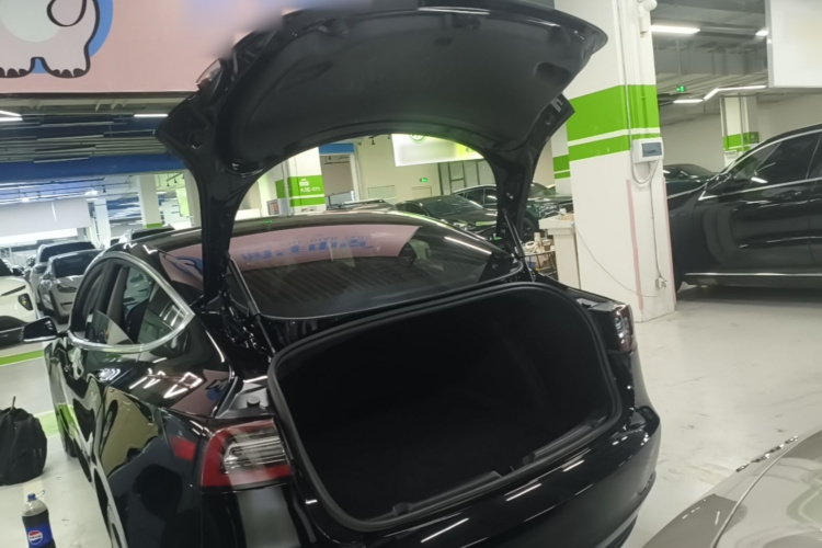 Tesla Model 3 2020 #19 Tesla Model 3 2020 car image #19