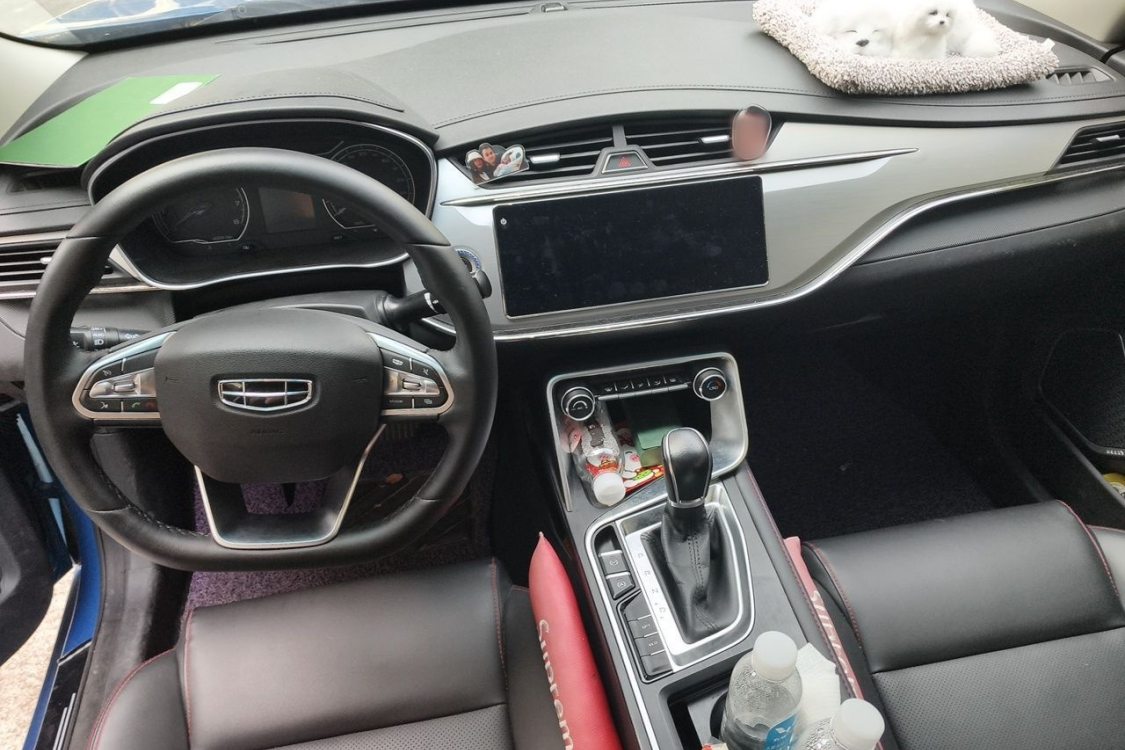 GEELY Binray 2020 #21 GEELY Binray 2020 immagine di auto #21