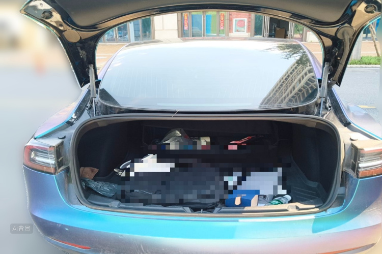 Tesla Model 3 2020 immagine di auto #21