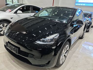 Tesla Model Y 2023 Tesla Model Y 2023 car image