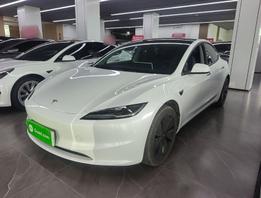 Tesla Model 3 2025 Tesla Model 3 2025 car image