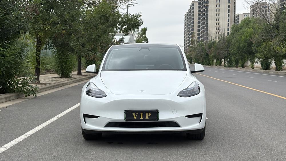 Tesla Model Y 2024 car image #2