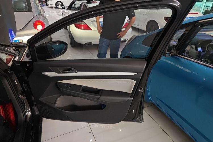 Volkswagen Golf 2021 car image #25