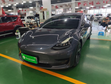 Tesla Model 3 2021 immagine di auto 