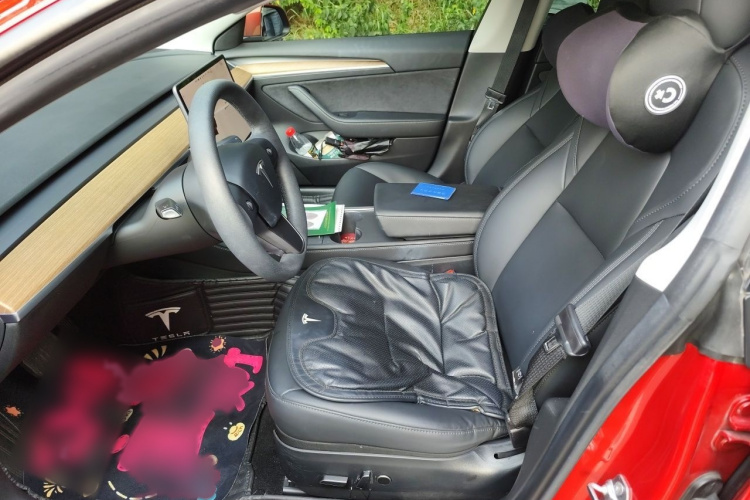 Tesla Model 3 2021 #19 Tesla Model 3 2021 car image #19
