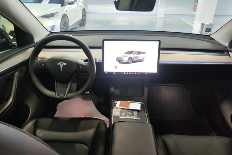 Tesla Model Y 2024 car image #10