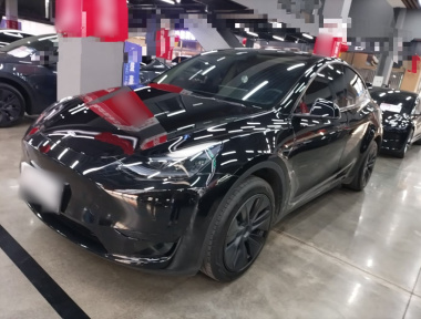 Tesla Model Y 2023 car image 