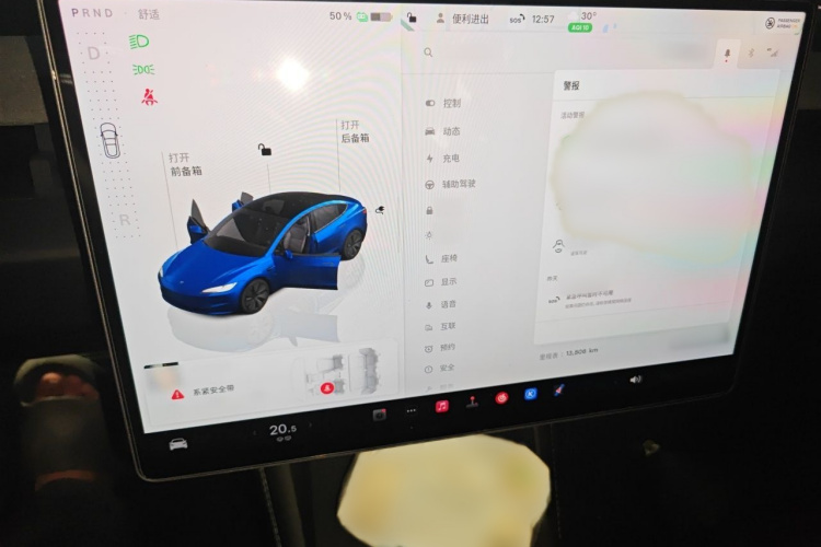 Tesla Model 3 2025 #17 Tesla Model 3 2025 car image #17