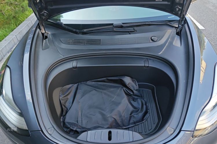 Tesla Model 3 2020 #22 Tesla Model 3 2020 car image #22
