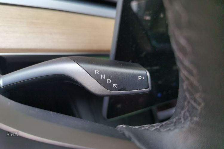 Tesla Model 3 2022 car image #16