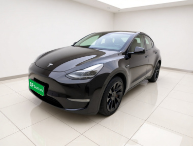 Tesla Model Y 2021 car image 