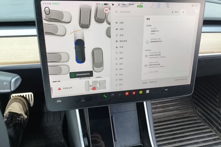 Tesla Model 3 2020 car image #12