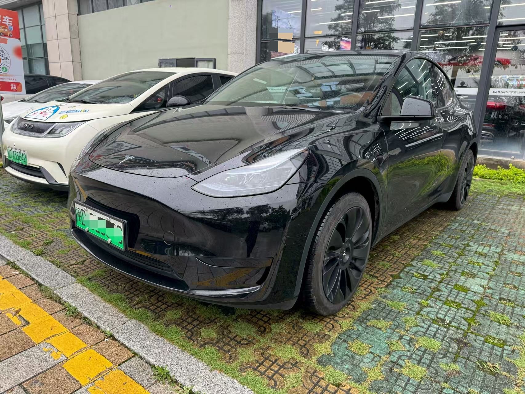 Tesla Model Y 2023 car image 