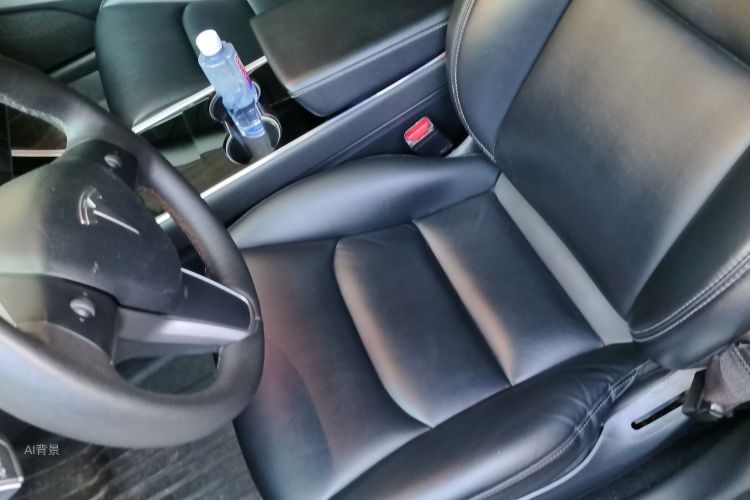 Tesla Model 3 2020 imagem de carro #17